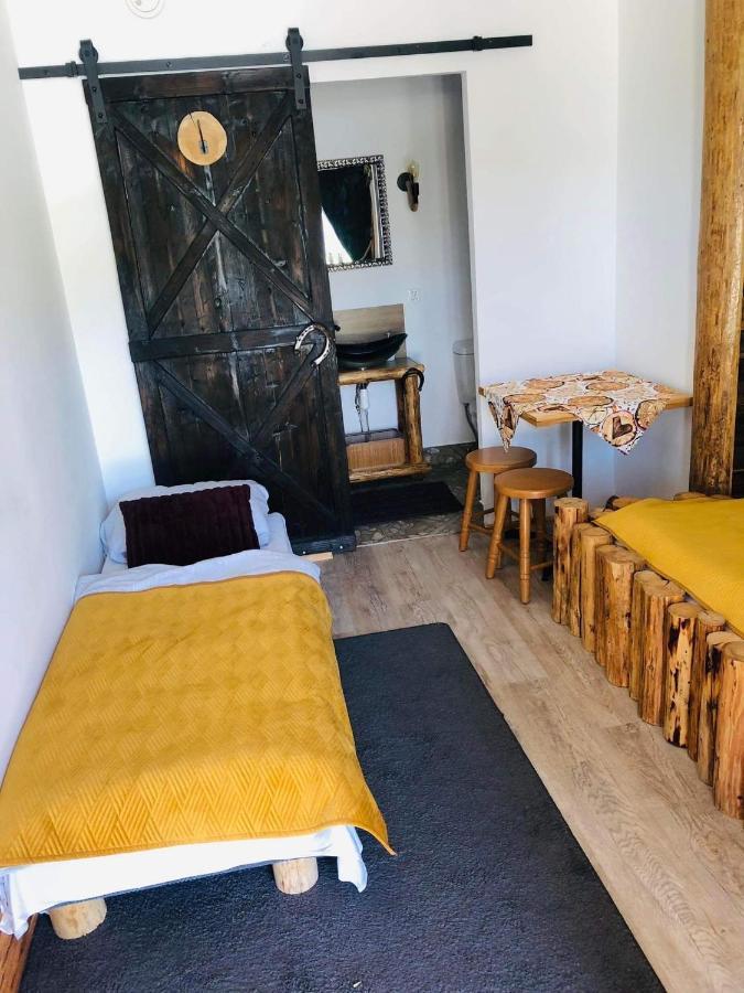 Rochowa Buznica Zakopane Dış mekan fotoğraf